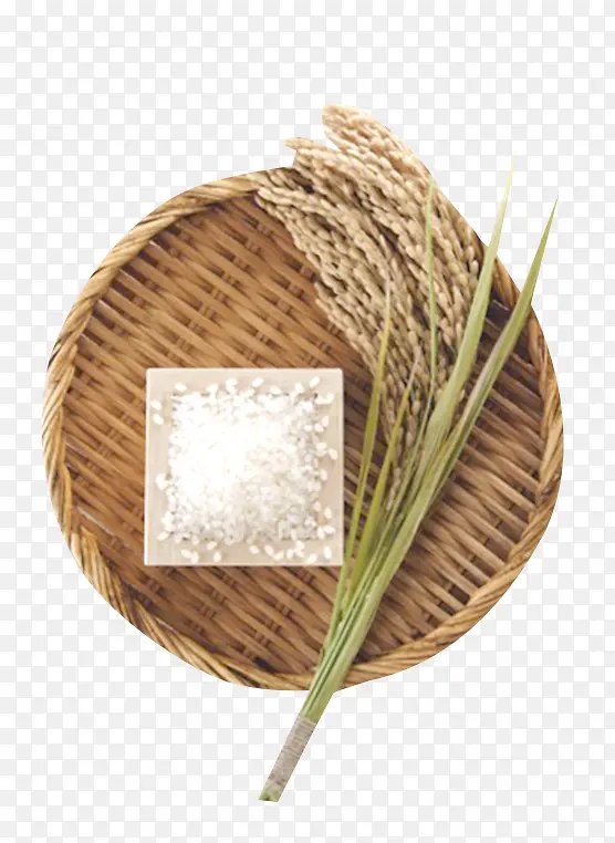 竹篓里的大米素材