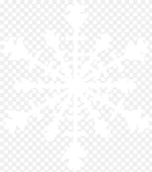 雪花