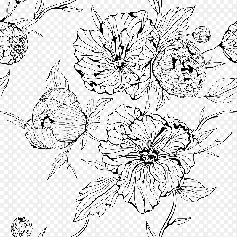 线条手绘黑色花卉