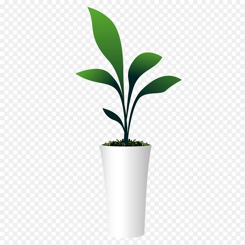 白色花瓶绿色植物