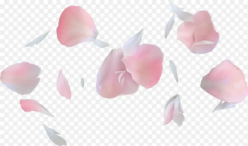 椭圆花瓣碎花瓣