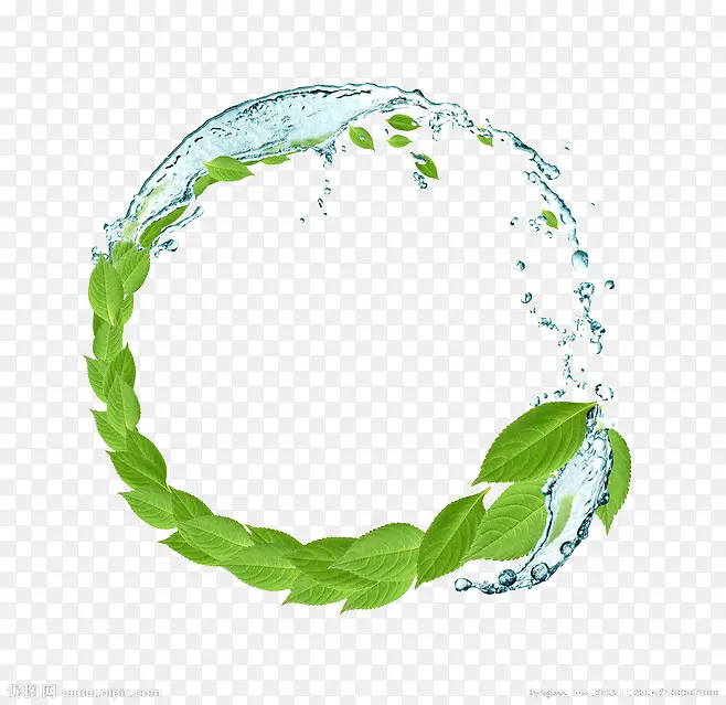 水珠绿叶圆环