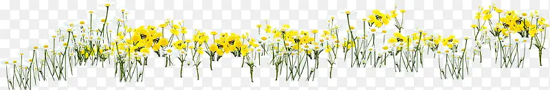 黄色卡通远景手绘花朵