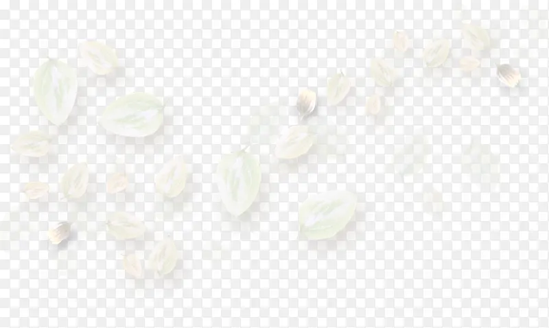 铺满白色花瓣高清