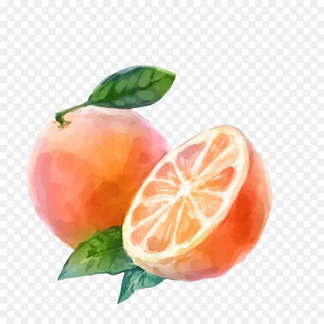 西柚