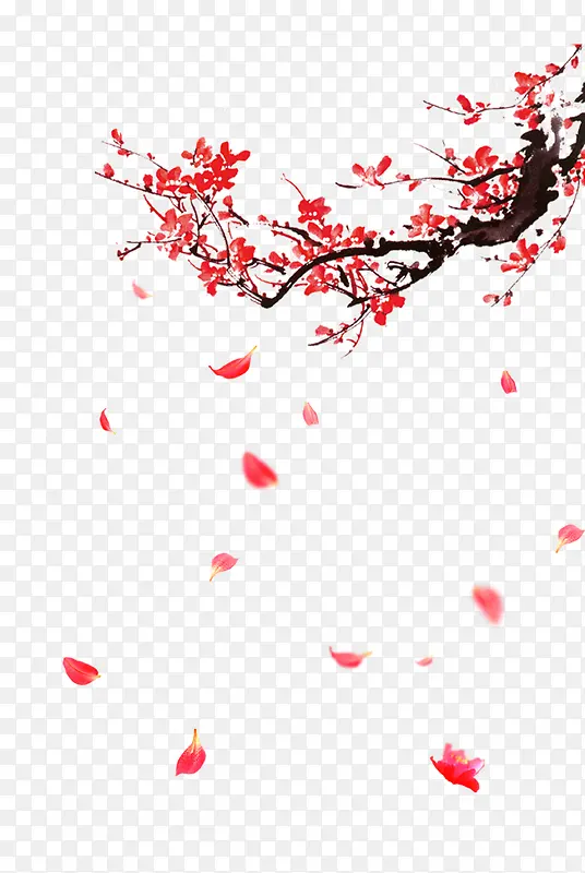 梅花飘落素材