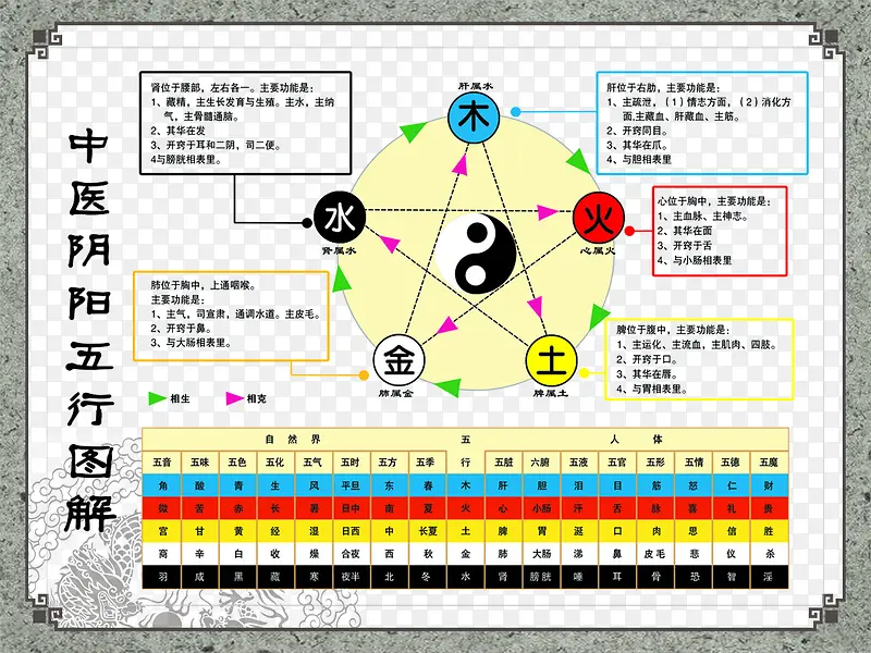 中医阴阳五行图图片