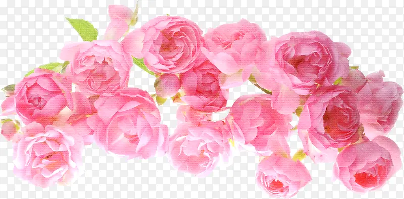 粉色花朵装饰图案