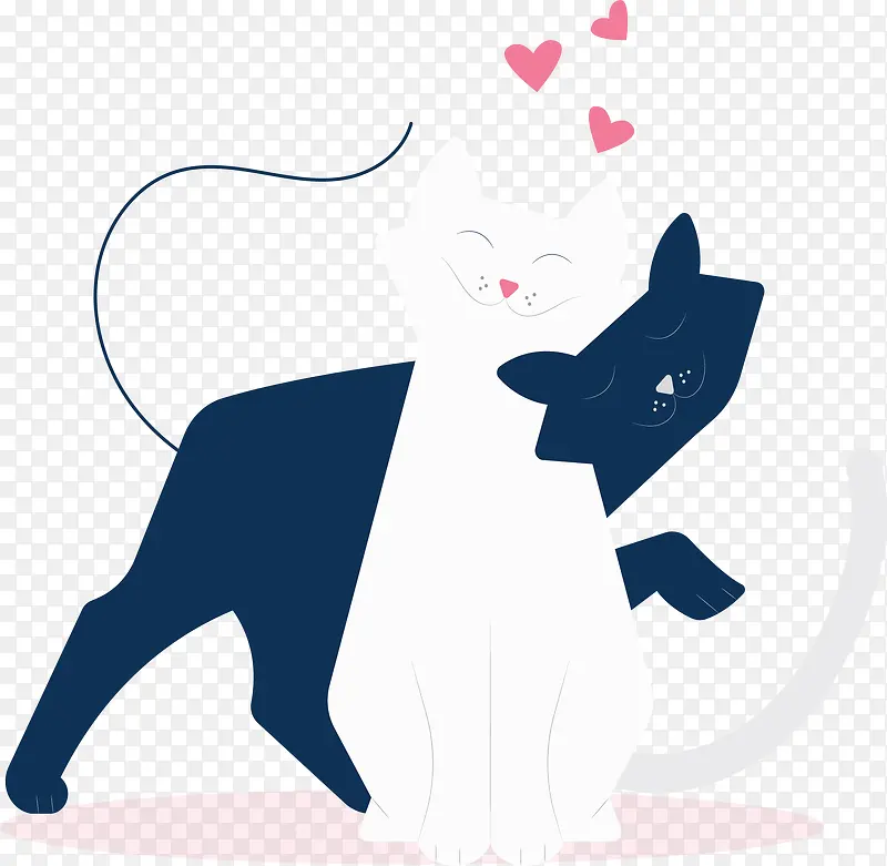 黑白花色情侣猫咪