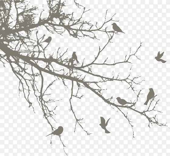 树上的小鸟矢量图片