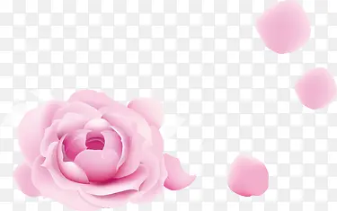 创意合成粉红色的玫瑰花合成设计