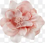 卡通欧美素材手绘欧美 花朵