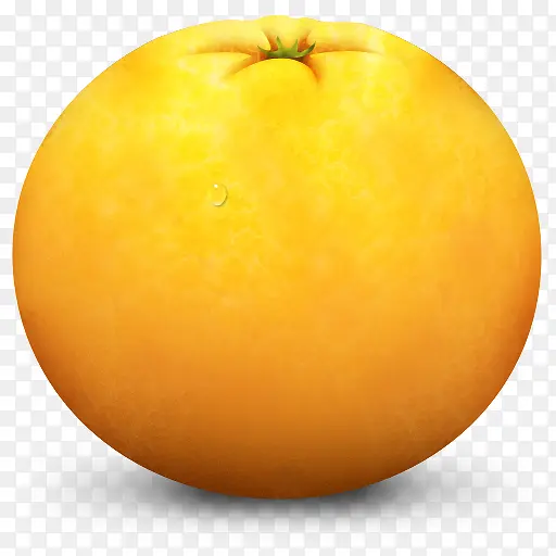 橙色水果Paradise-Fruit-Icon-Set