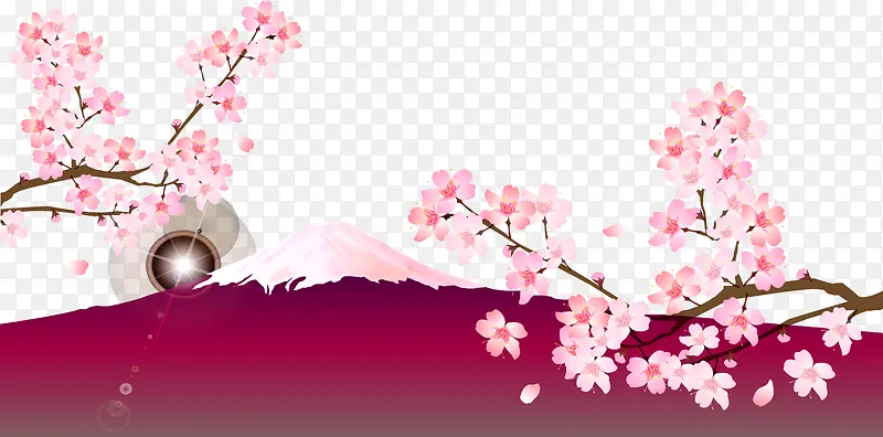 矢量樱花树日落