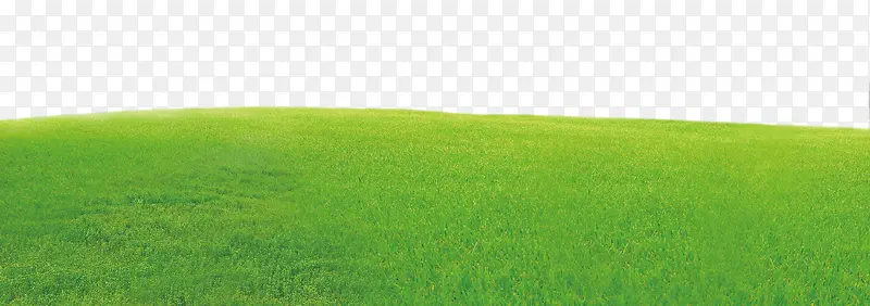 绿色清新草原边框纹理