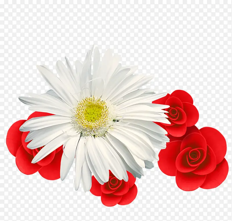 白色菊花红色玫瑰
