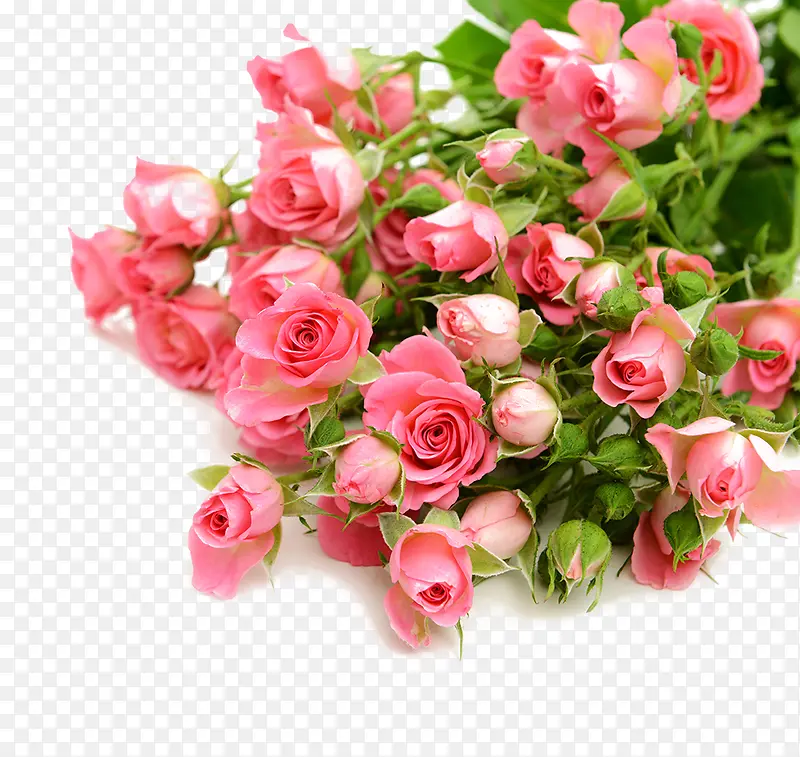 粉红色的玫瑰花花束