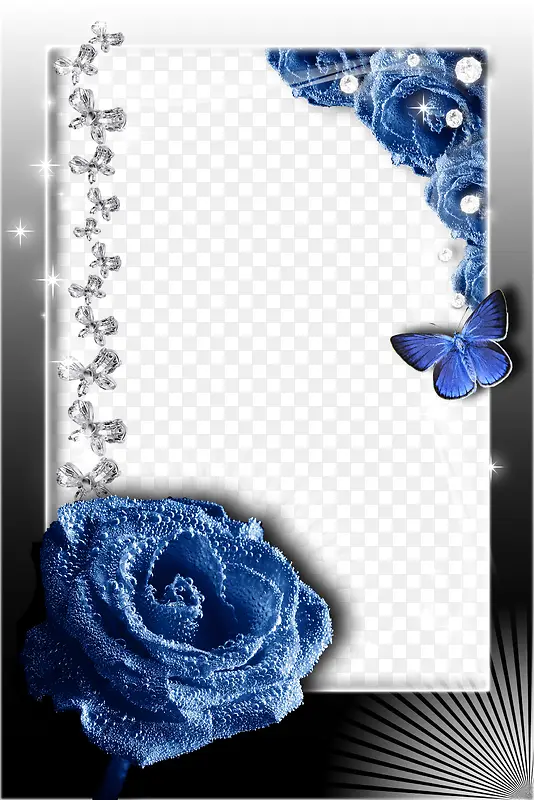 蓝色玫瑰蝴蝶边框