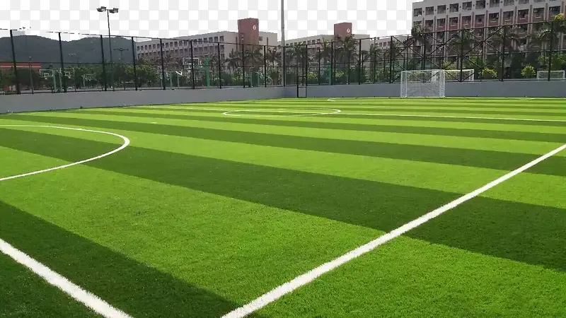 足球场草坪可适用于足球场