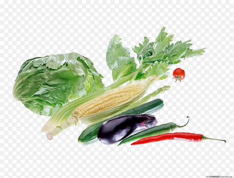手绘蔬菜卡通食物图片 精品清新