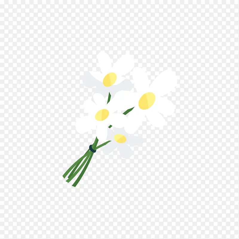 一束白色鲜花