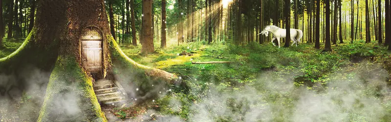 绿色森林海报背景