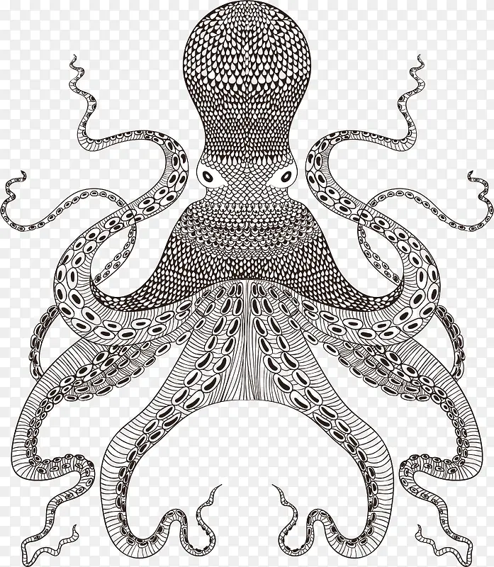 简约黑白手绘章鱼