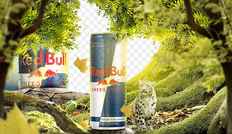 森林背景饮料广告