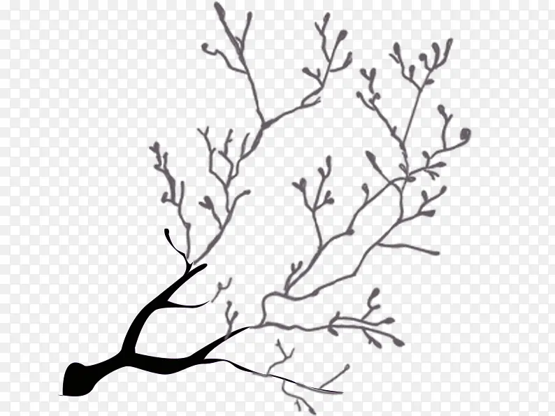 素描树枝素材图片