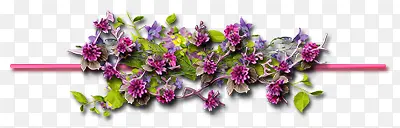 紫色花朵分割线