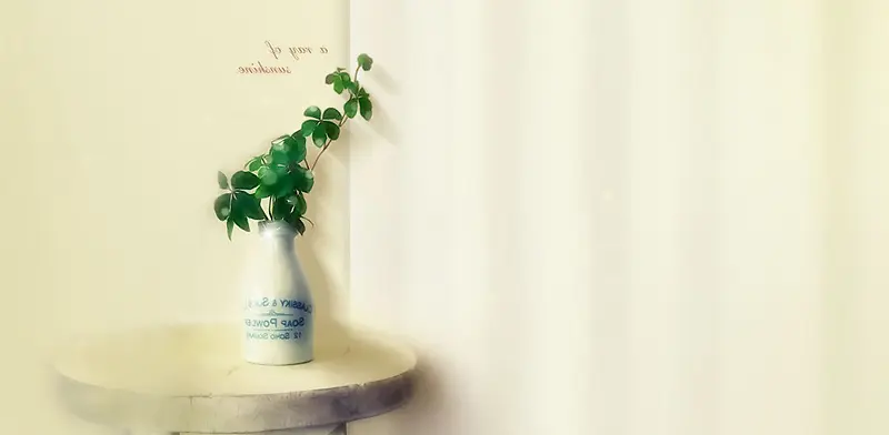 合成效果摄影花卉植物场景房间