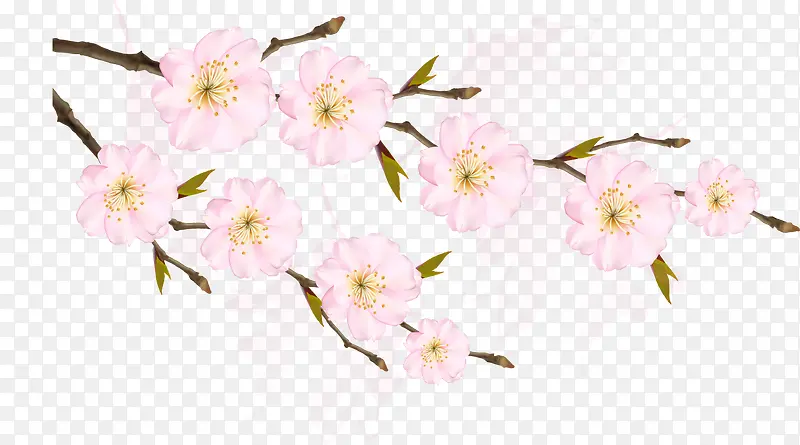 矢量两枝带叶芽粉色樱花