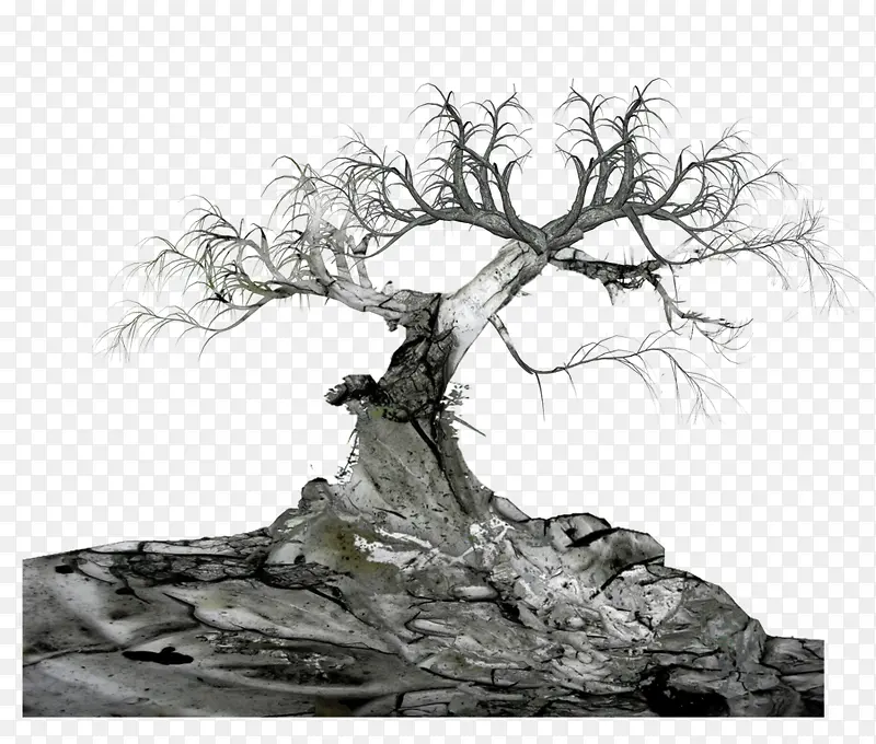 灰色枯树老树装饰图案