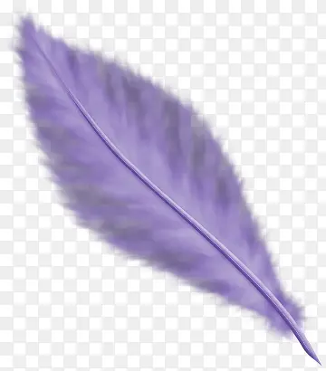 彩色翅膀手绘翅膀 紫色羽毛