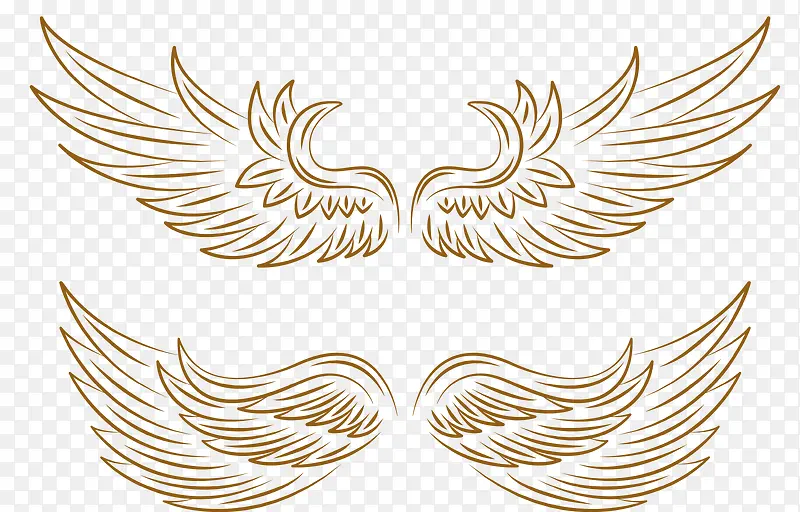 羽翼丰满的矢量天使之翼