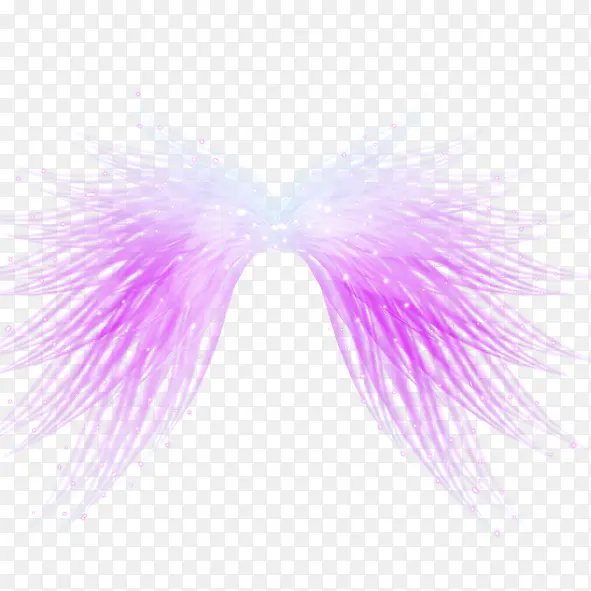 紫色翅膀