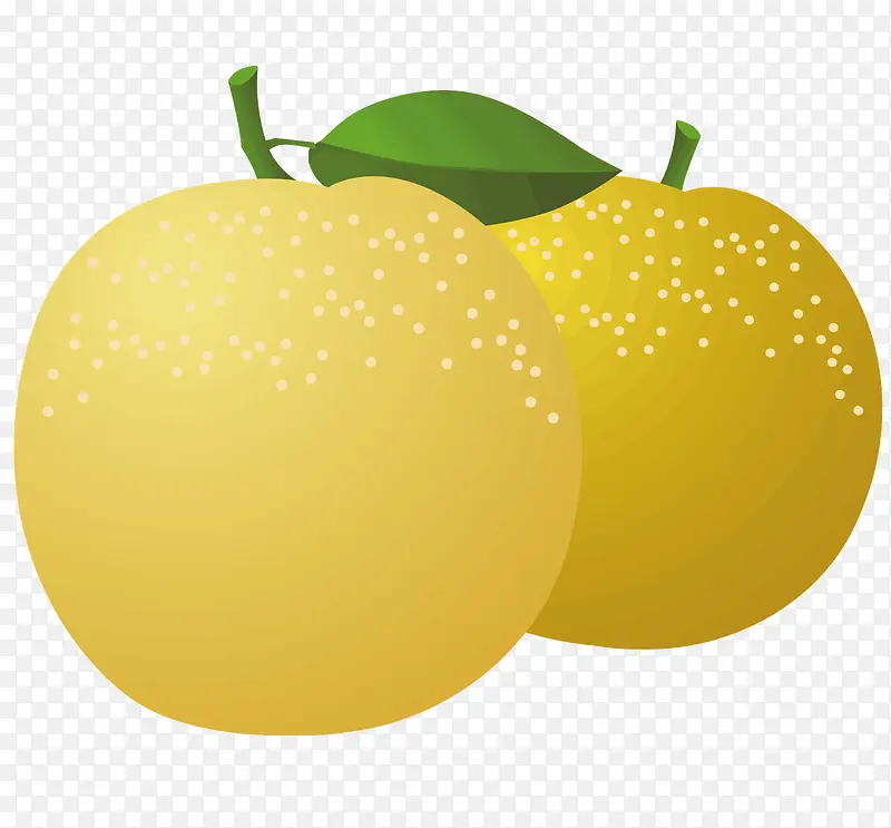 两个黄色的梨