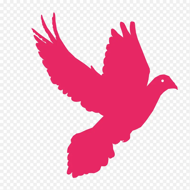粉色动物和平鸽飞翔放飞