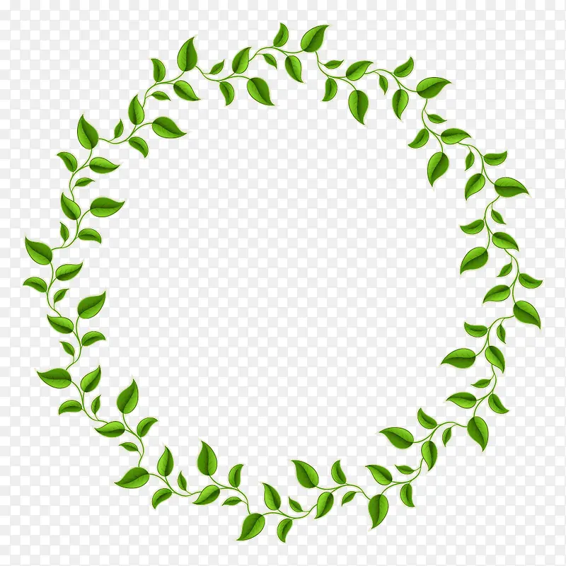 绿色树叶圆圈装饰