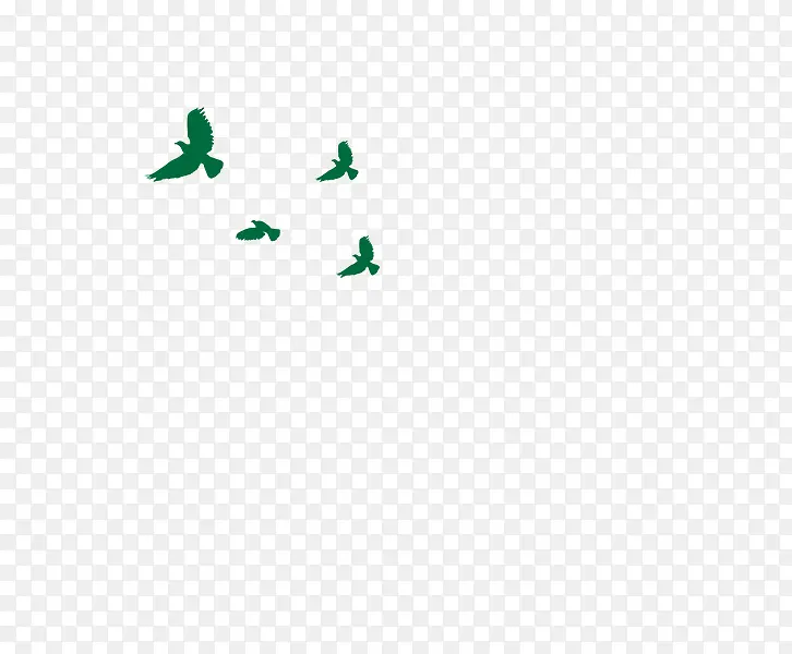 绿色的海鸥