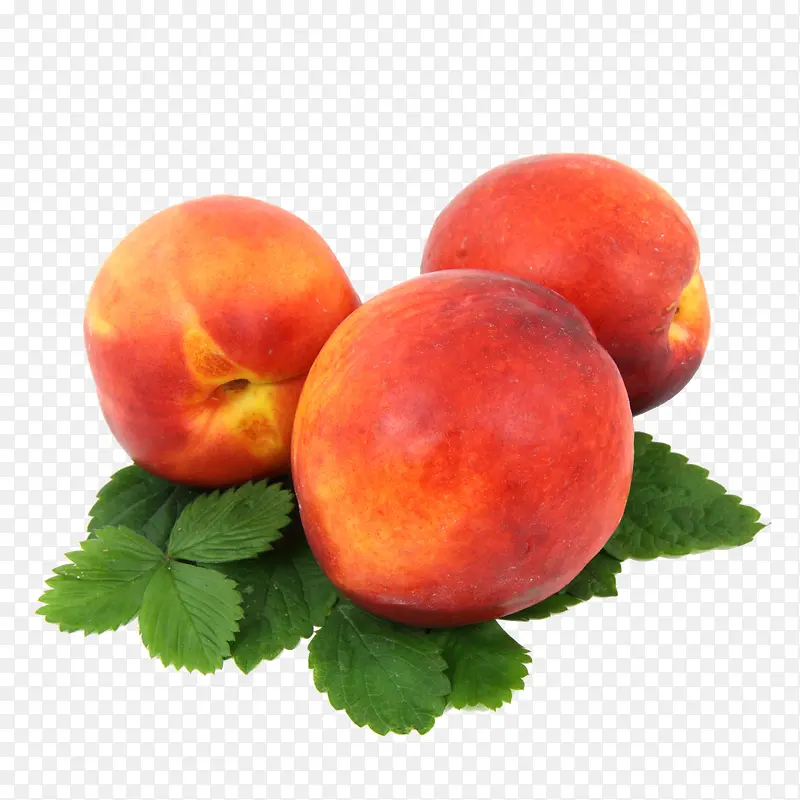 新鲜的水果桃子