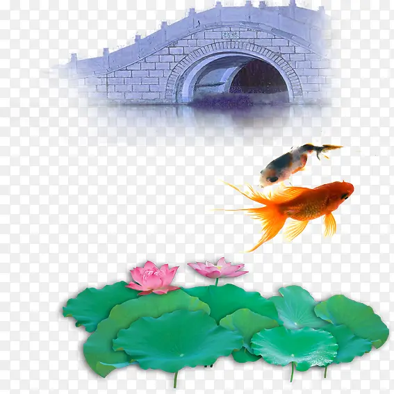 中国风桥锦鲤荷花合集