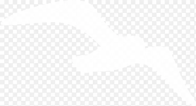 海鸥素材白色