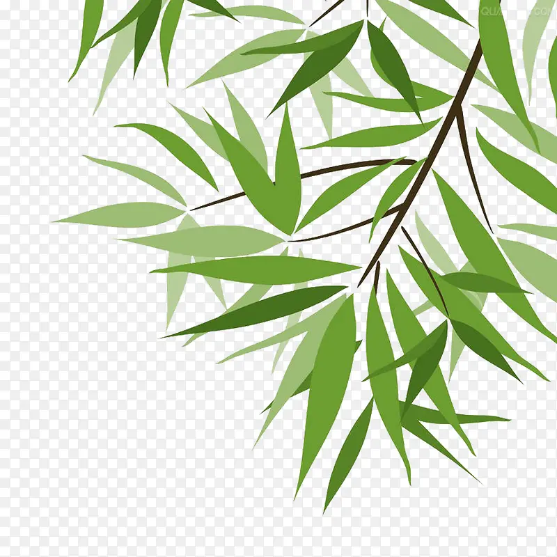 茂密竹叶