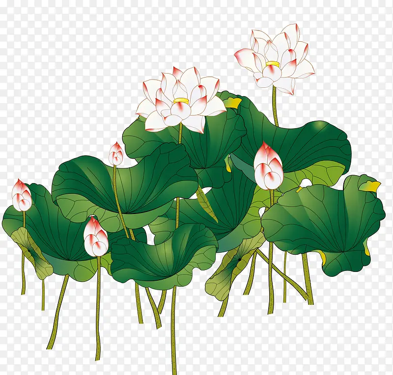 夏天手绘绿色中国风荷叶荷花
