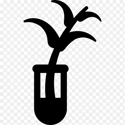 植物样品图标