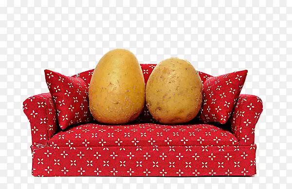 红色沙发上的土豆