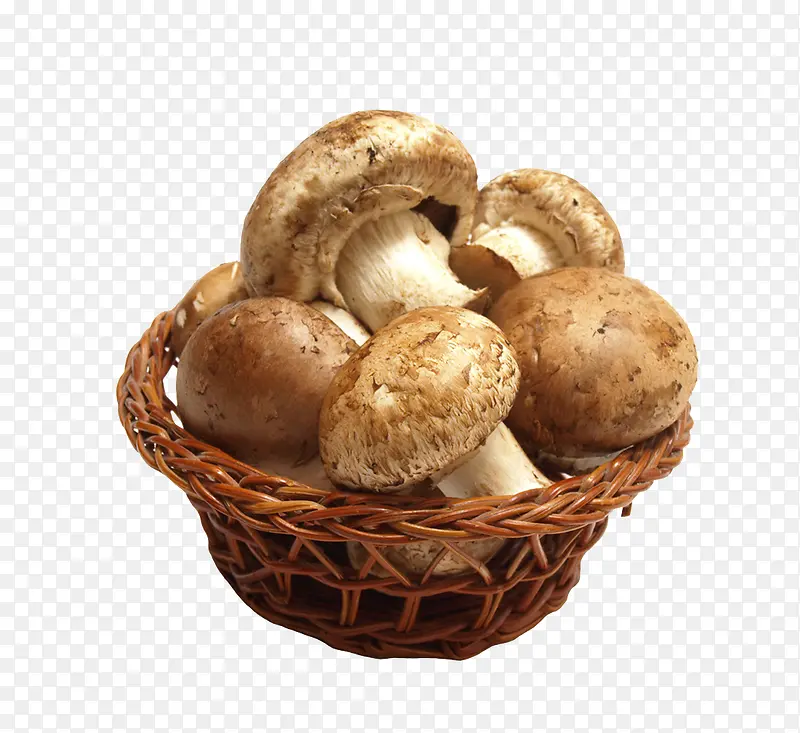 篮筐香菇