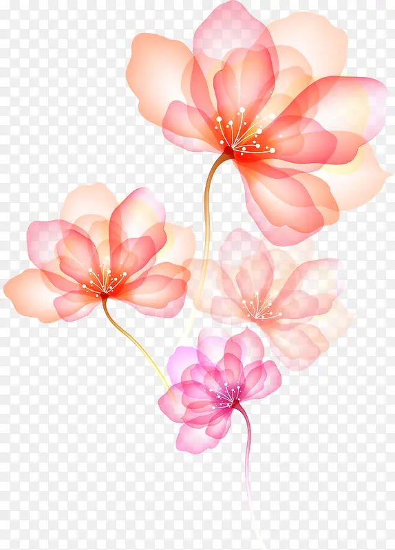 粉色透明花朵图案