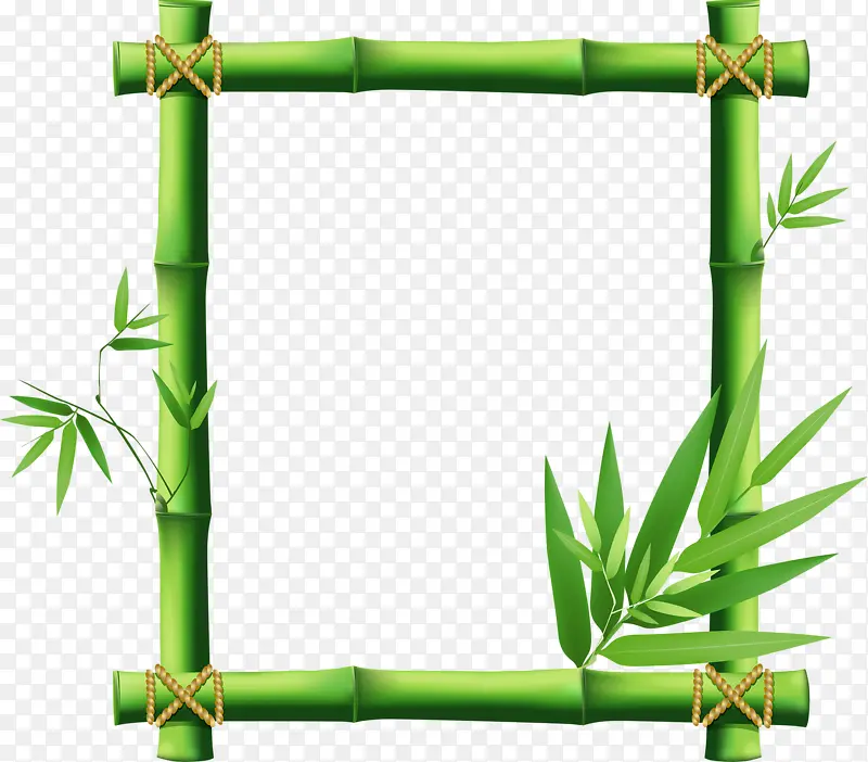 竹子边框